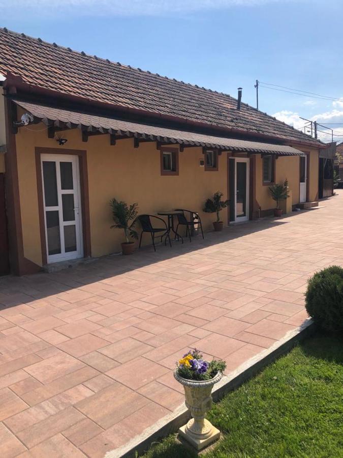 Casa Alexia Hotel Haţeg Exterior foto