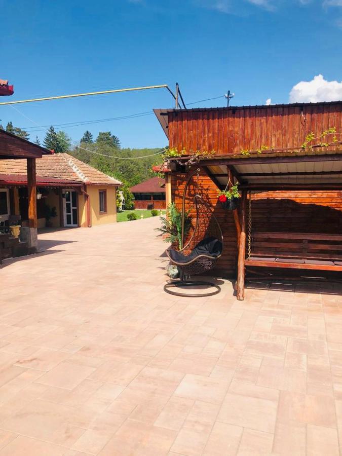 Casa Alexia Hotel Haţeg Exterior foto