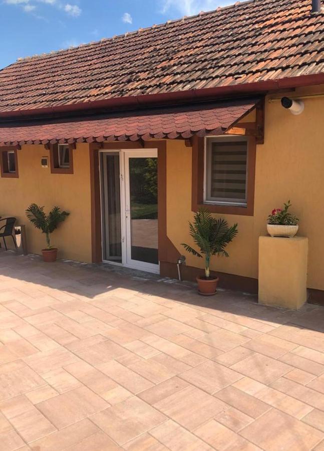 Casa Alexia Hotel Haţeg Exterior foto