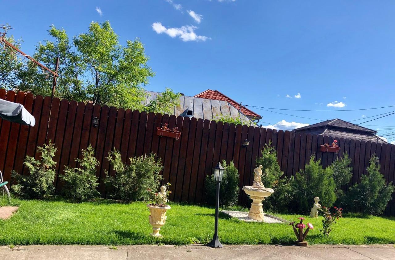 Casa Alexia Hotel Haţeg Exterior foto